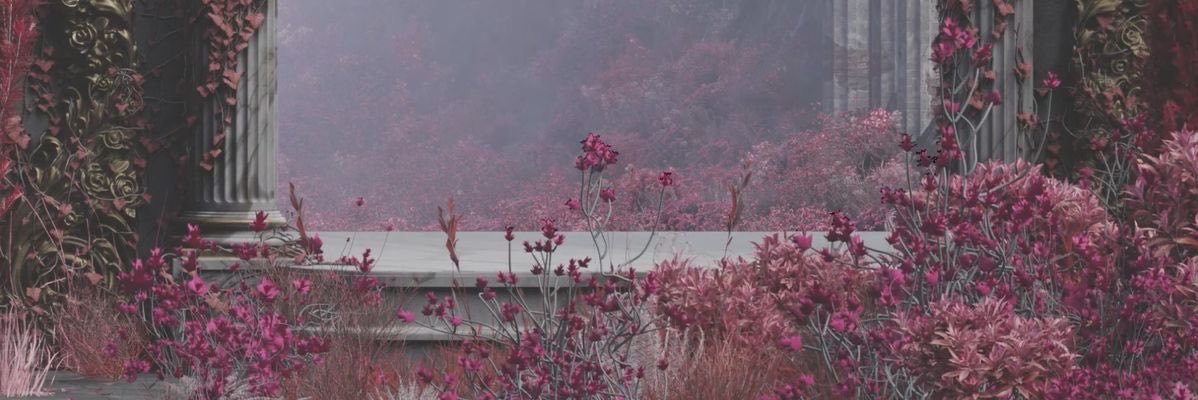LBotha_23's profile banner image