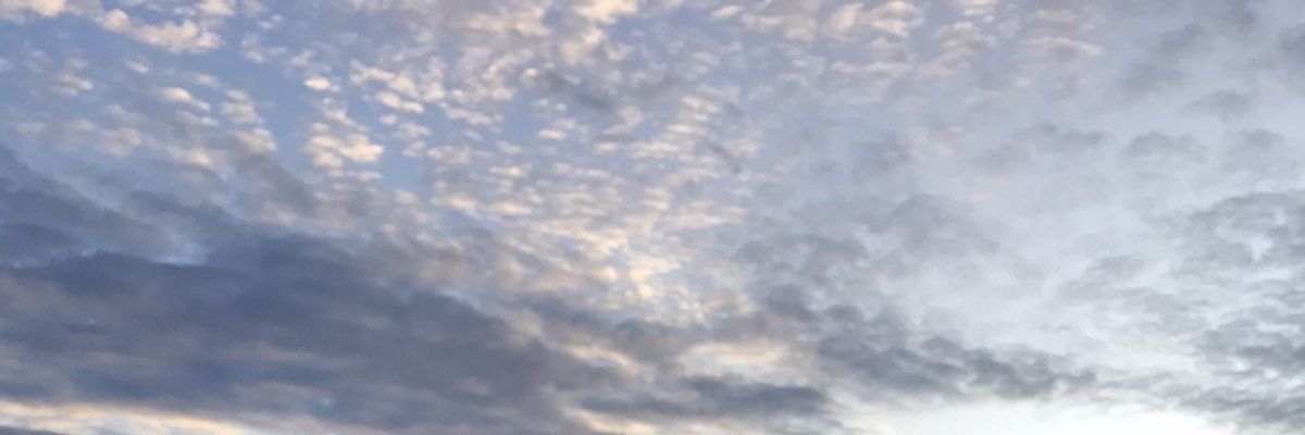 suakini banner