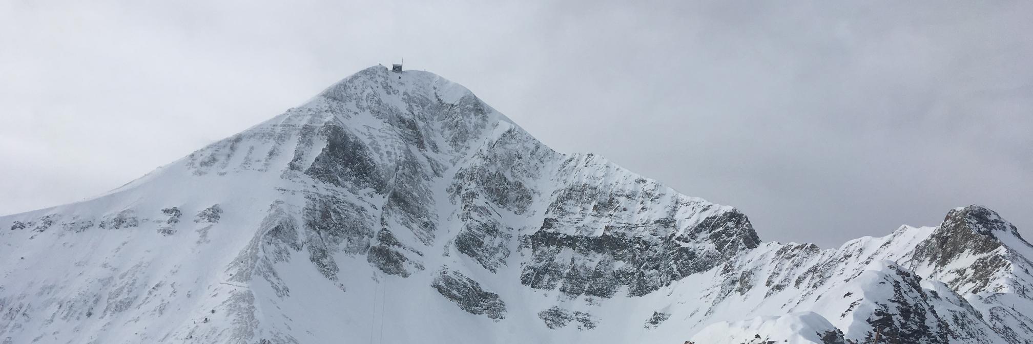 Tyler Farrell banner