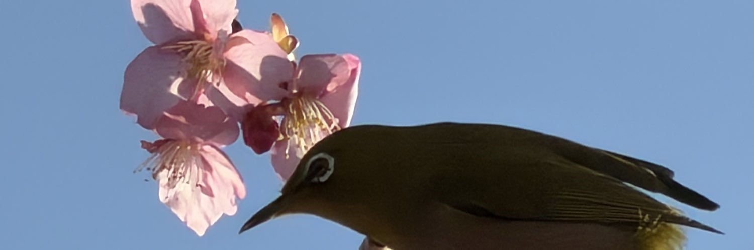 corosuke_5/6ト43b&6/28ﾘｿﾞﾌﾟﾛ狂人会 banner