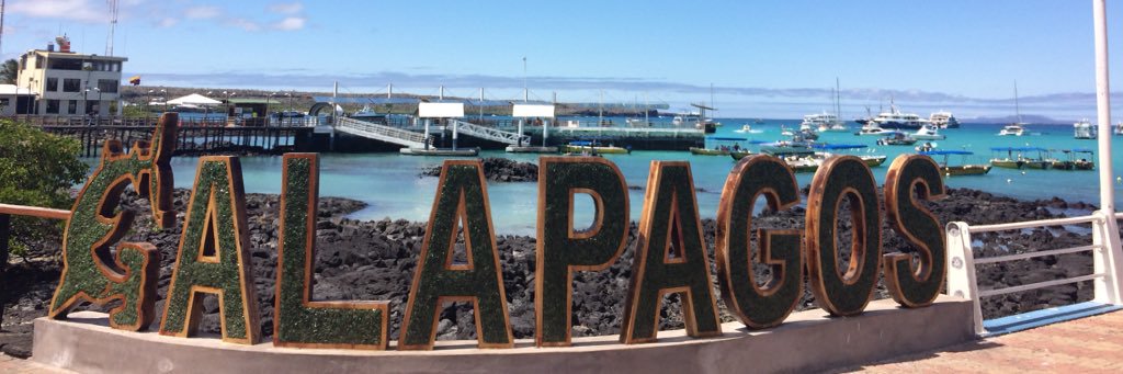 callum chaldecott banner