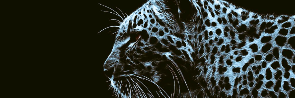 dtorr2241's profile banner image