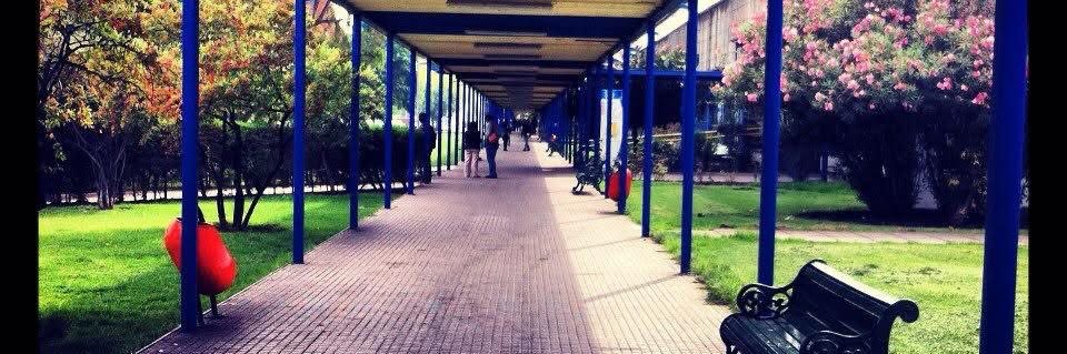 Poniendo el hombro...tomando palco banner