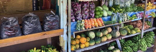 DrSarahBurkhart Profile Banner