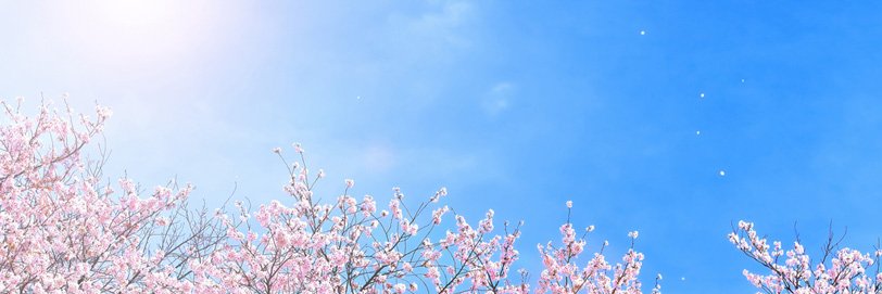 nk_new's profile banner image