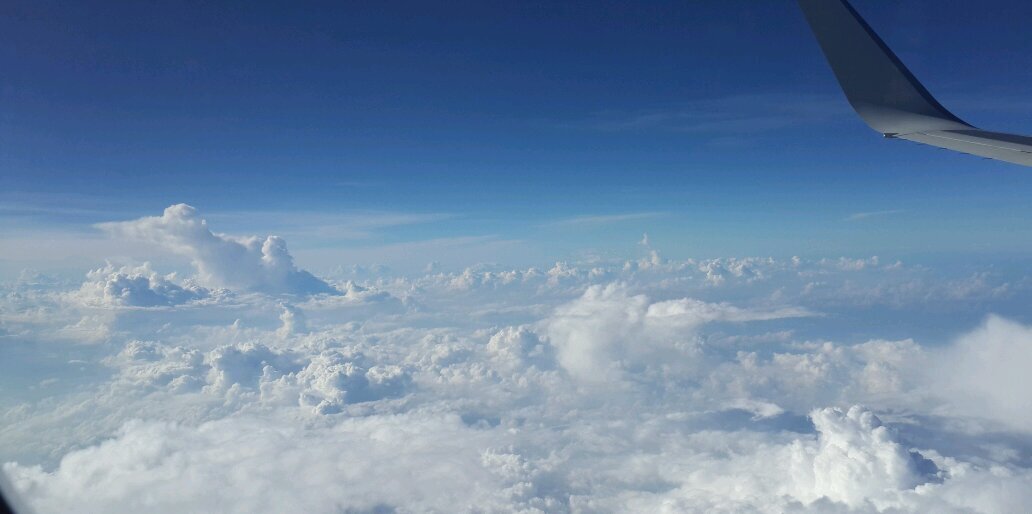 ackersrab's profile banner image