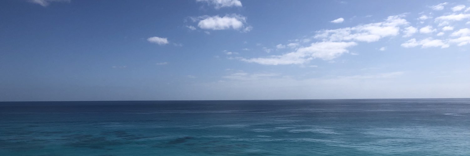 brendabm1's profile banner image