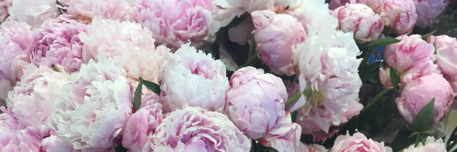 Dr. Andrea Severson banner