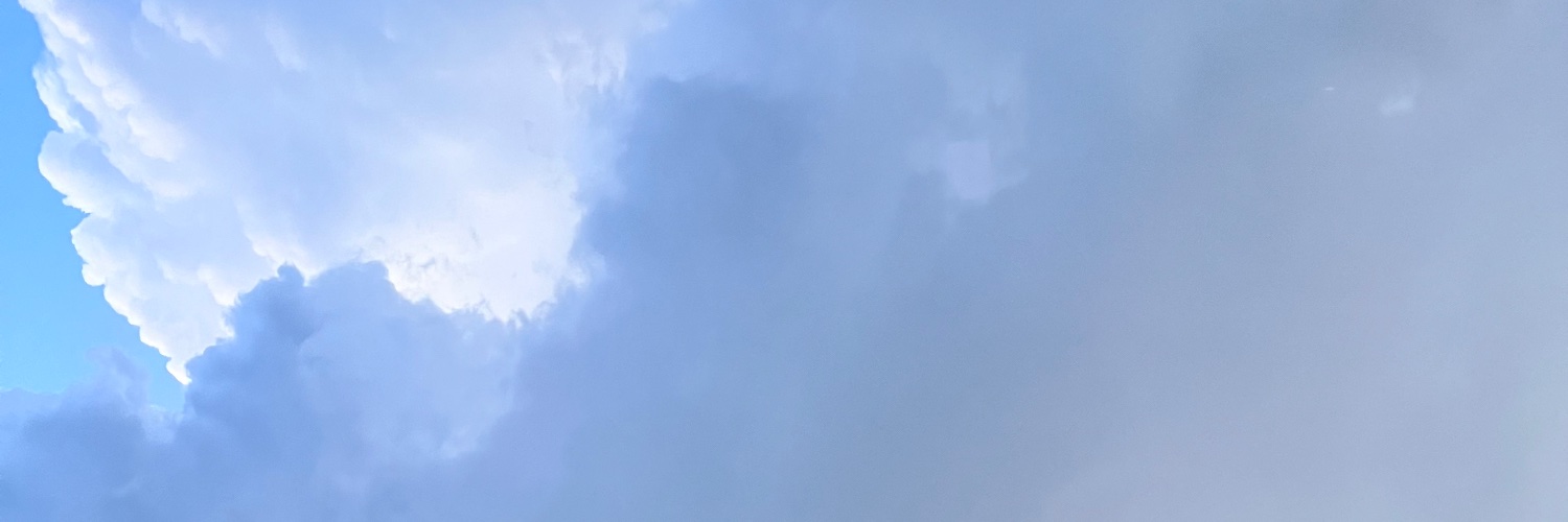 chloë banner