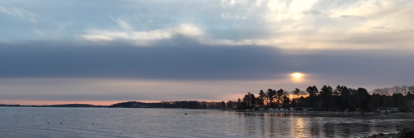 mlabotz's profile banner image