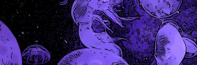 Bergeerrr's profile banner image