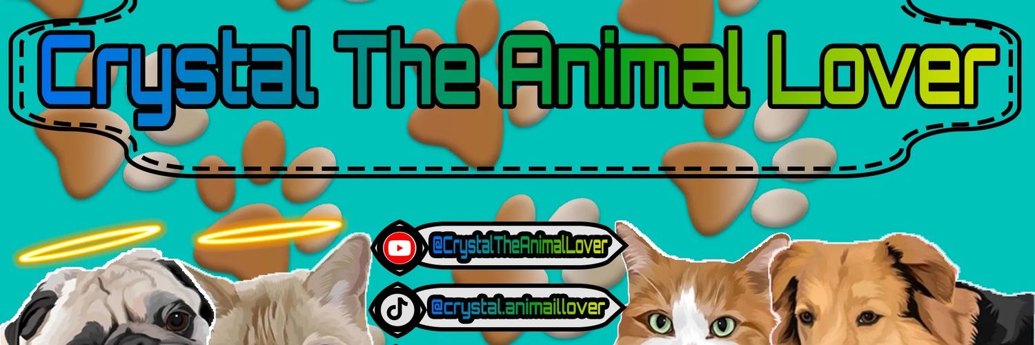 ctheanimallover's profile banner image