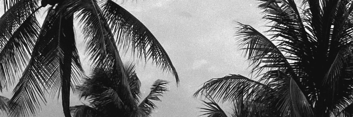 outofsightqueen's profile banner image