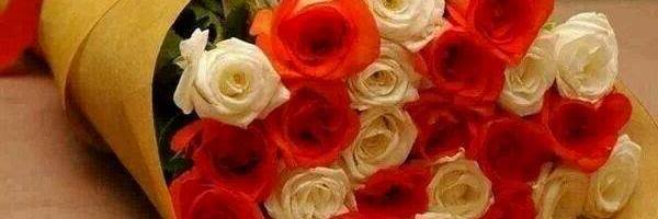 🇩🇴Sandra Acta banner