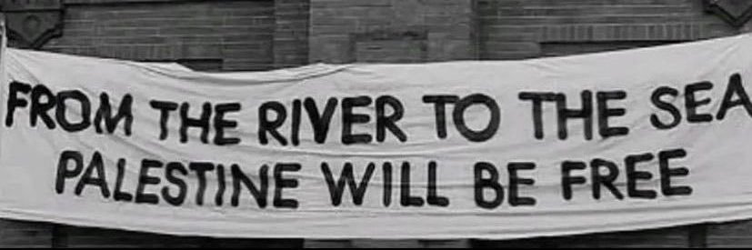 sandra sánchez 🇵🇸 banner