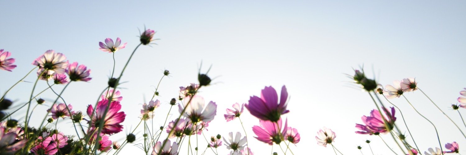 ecohair's profile banner image