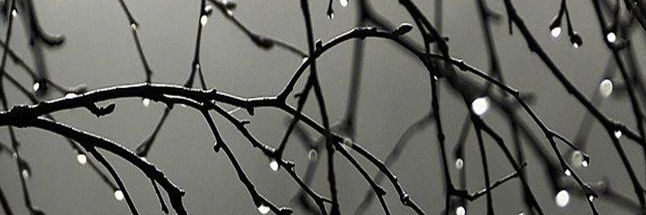 luc_olga's profile banner image