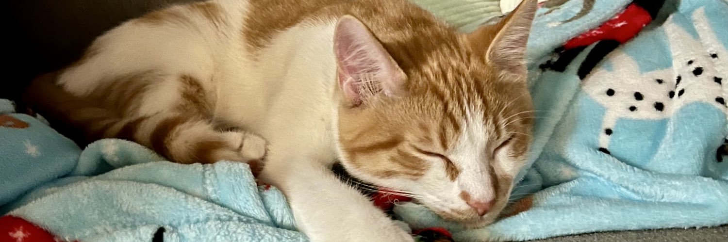 Ruth_Anne33's profile banner image