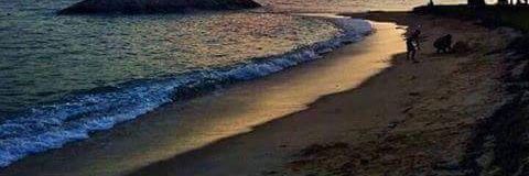 marlonartur's profile banner image