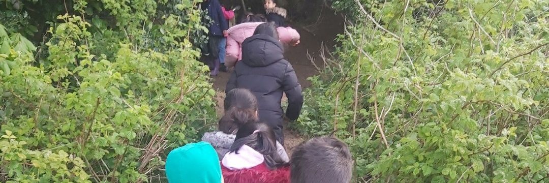 Forestschoolmvps banner