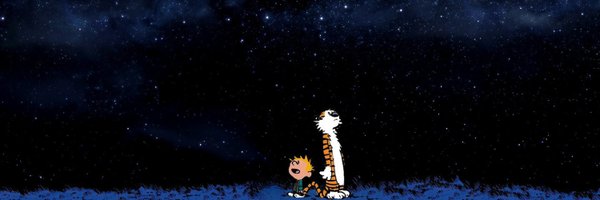 calvdiep Profile Banner