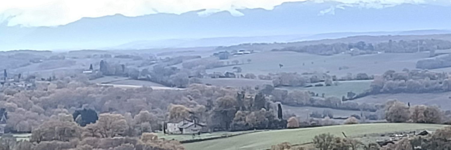 Stéphanie Barbié banner