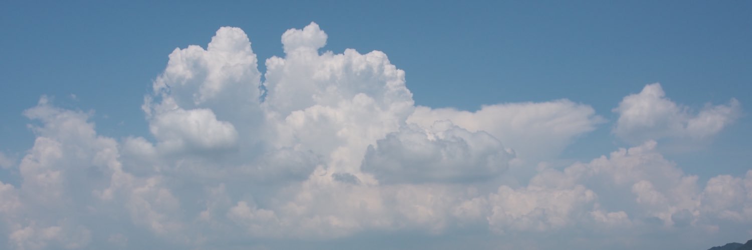 ねこ支配人 banner