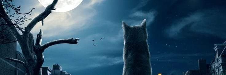 deepgreent's profile banner image