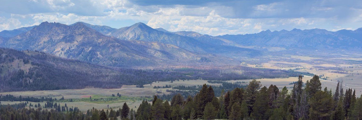 Tim Brackus banner