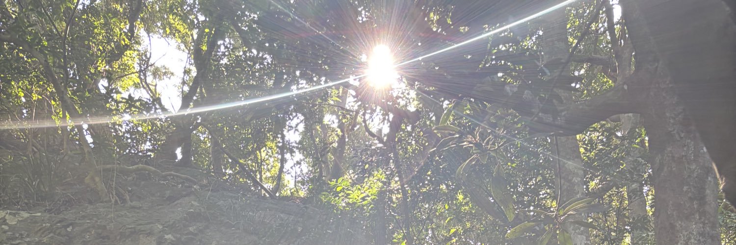 SlowBallade38's profile banner image