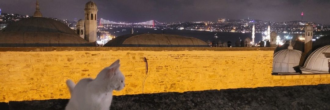 alan_mtn38's profile banner image