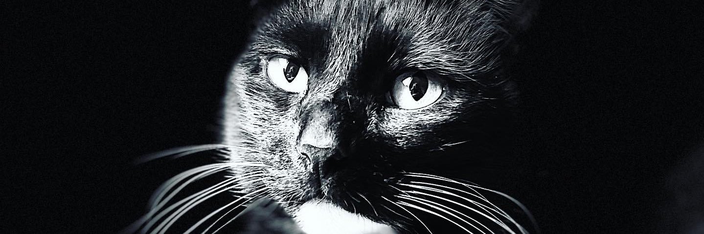 nicohobson's profile banner image