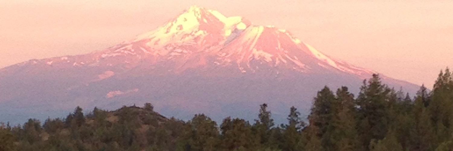 Tiffany Benton banner