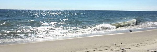 MspenceBUFSD Profile Banner