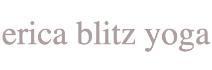 blitzerica's profile banner image
