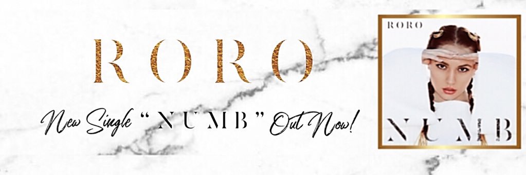 RoRo banner