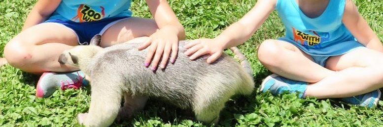 ZooWithUs's profile banner image
