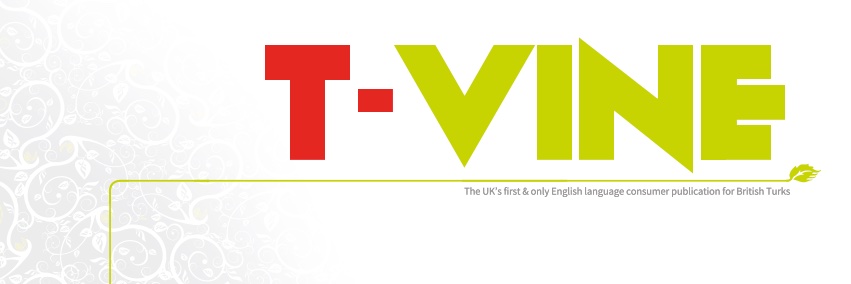 1TVINE's profile banner image
