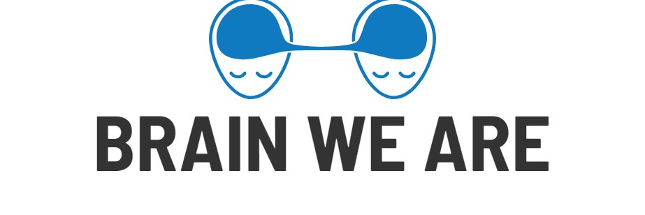 Brain We Are banner
