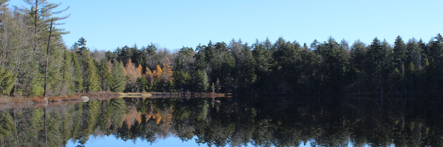 JohnBeck2Tall banner