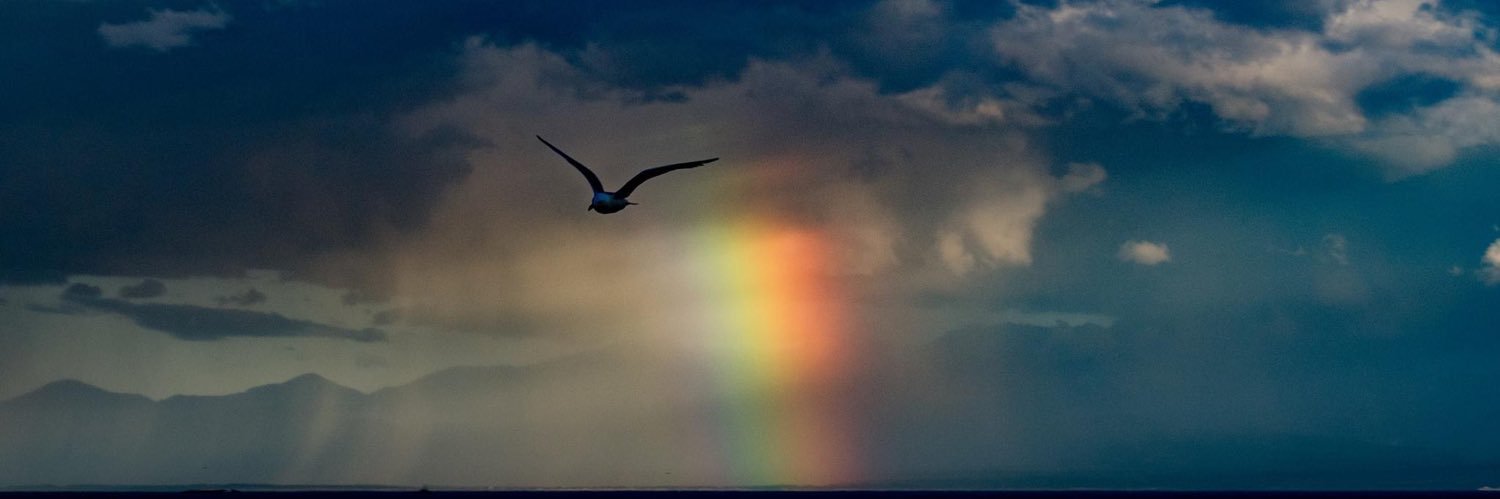 Princess of Whales banner