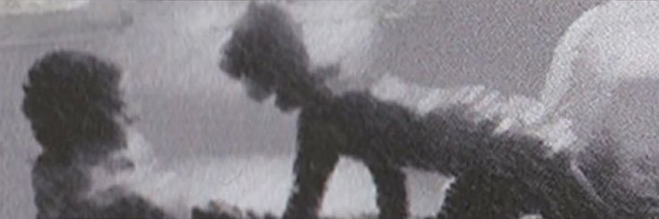 Florrgoon's profile banner image