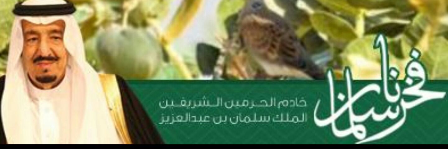 w9lcom's profile banner image