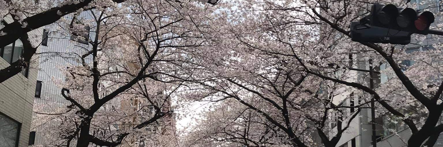 nebosuke_69's profile banner image