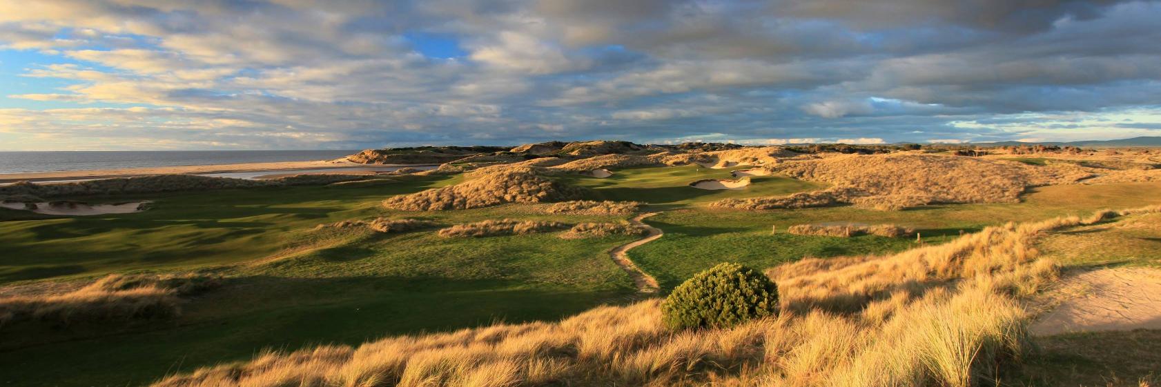 Tim Fawcett (he/him) banner