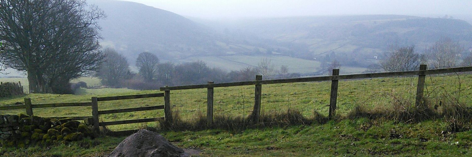 miriam rebbeck banner