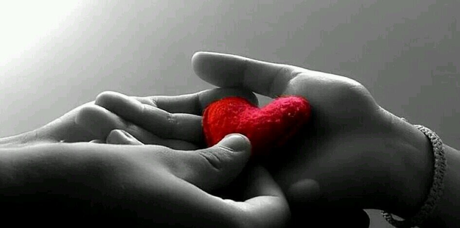Mayte53018450's profile banner image