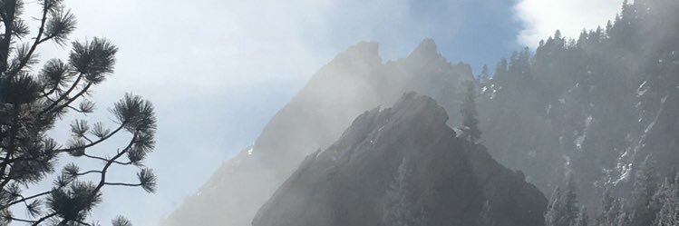 reedmilla's profile banner image