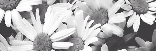 Roll_with_Soul's profile banner image
