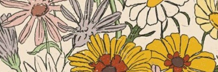 coldascoffee's profile banner image
